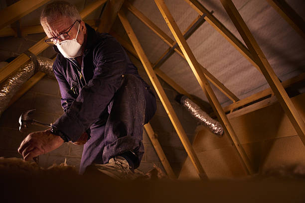 Best Insulation Repair Services  in Roland, OK
